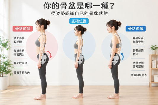 你的骨盆是前傾還是後傾？從日常姿勢認識自己的骨盆狀態