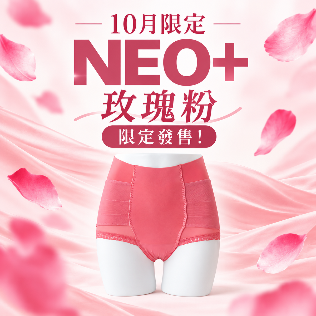2件組｜日本骨盆支撐整體內褲 NEO+